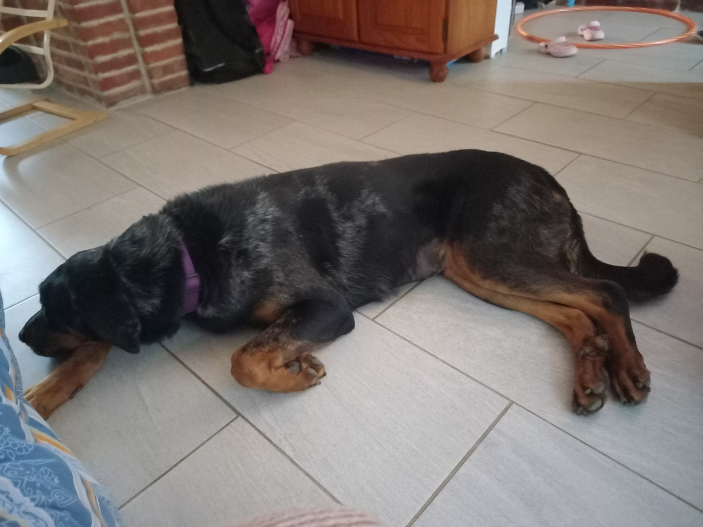 Thunder Shadow Blue Des Nuits Des Feux 